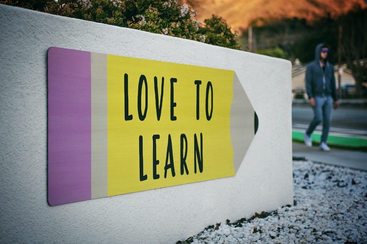 International Scholarships: Opportunities for Global Students